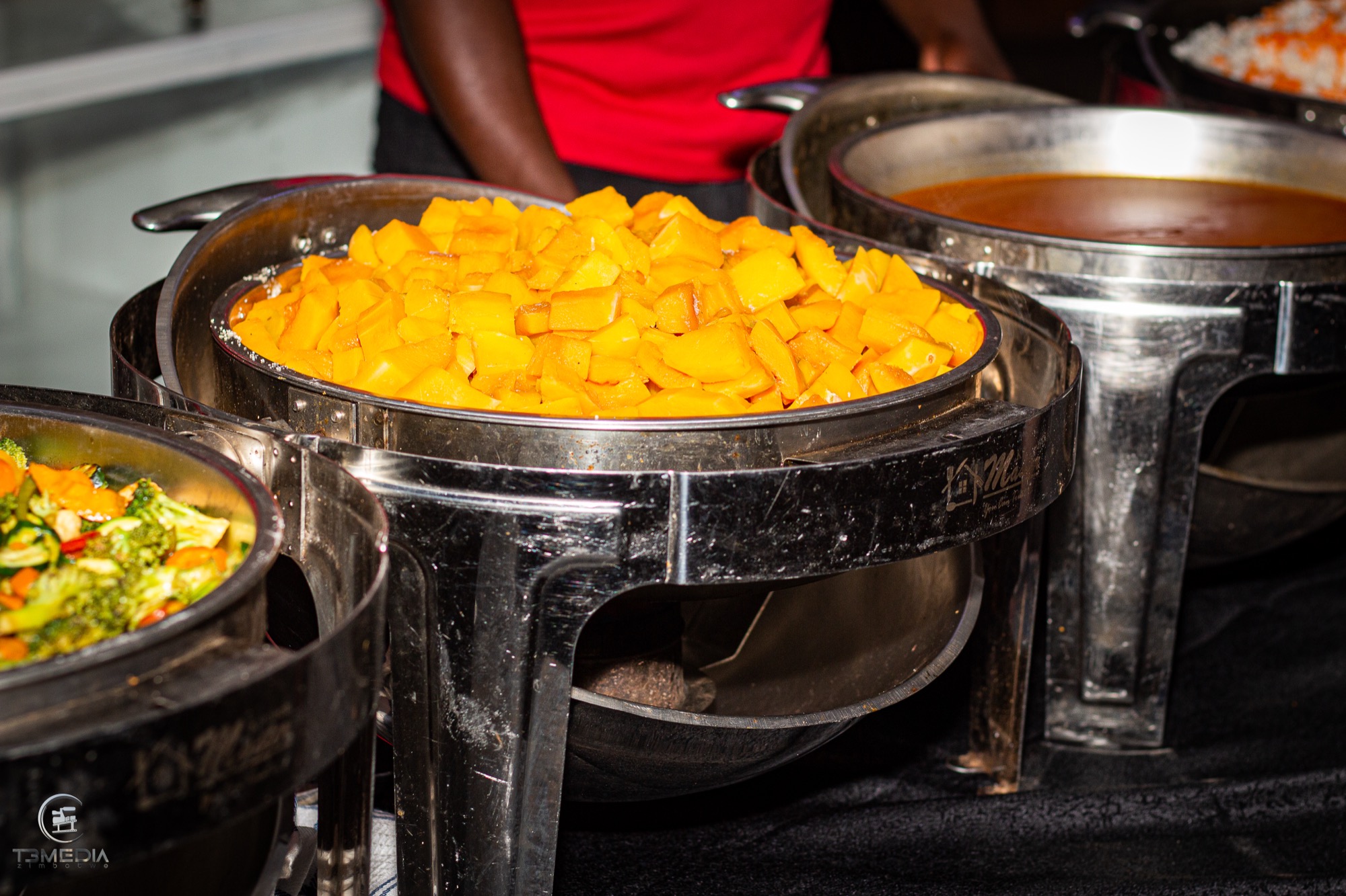 Vegetarian Delights Book Launch photo 11